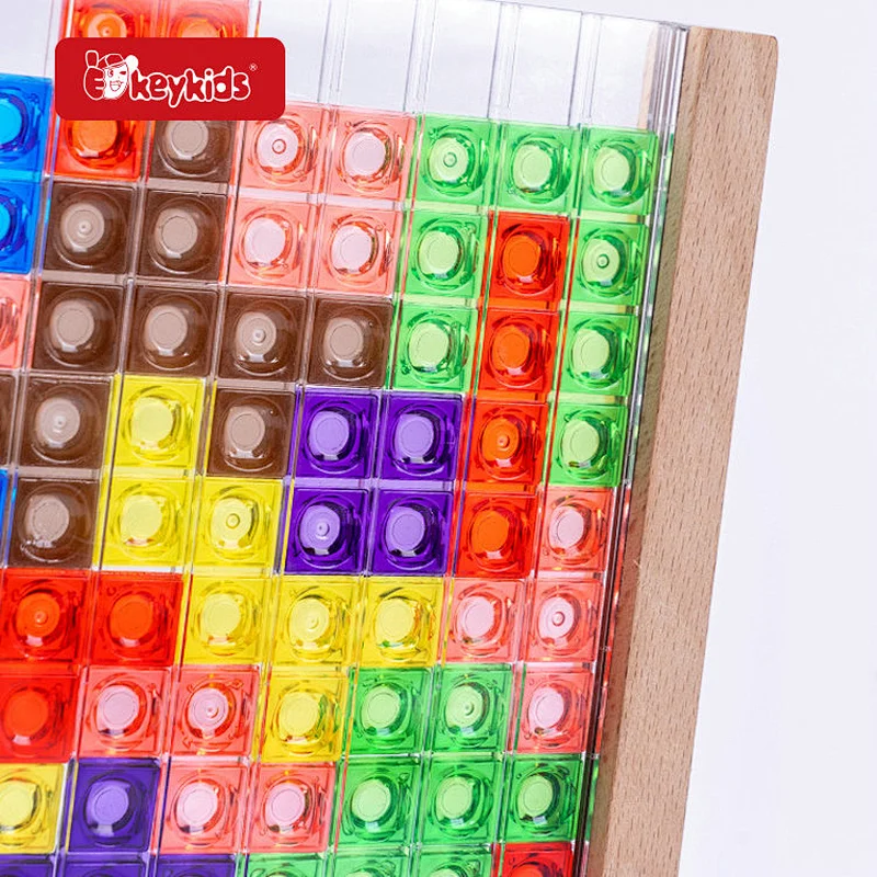 Montessori Puzzle 3D Wooden Transparent Brain Toy for Kids W14A395
